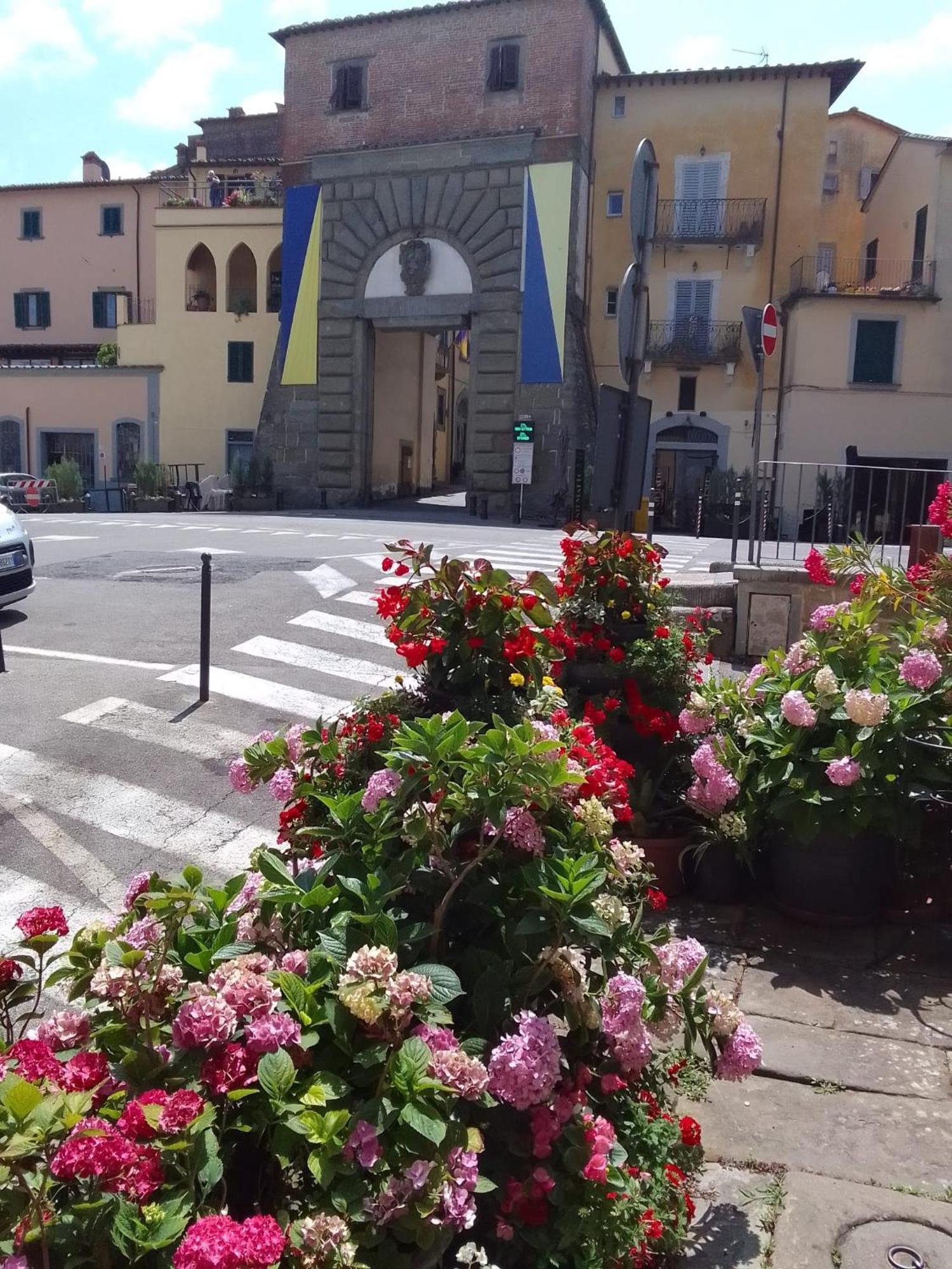 Dalla Carla In Toscana Monte San Savino Bagian luar foto